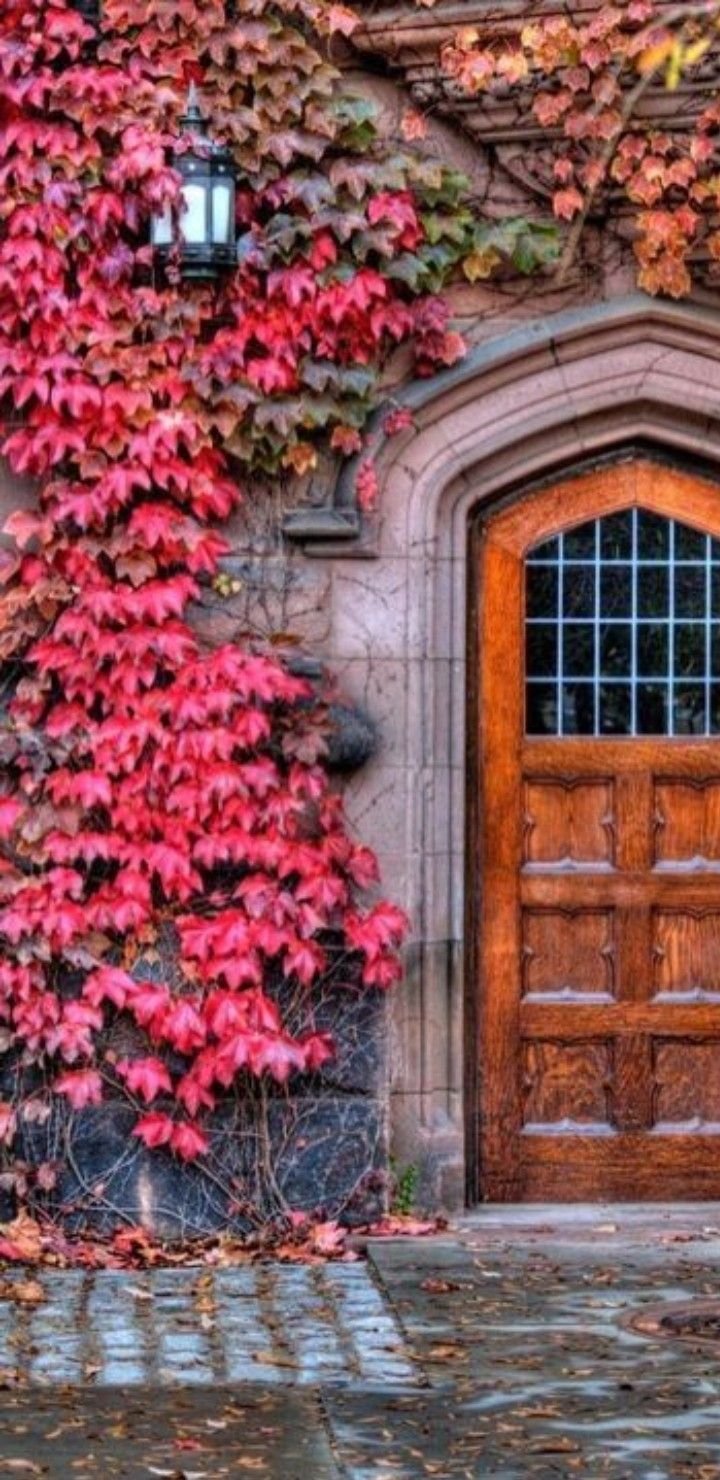 Старая красивая дверь