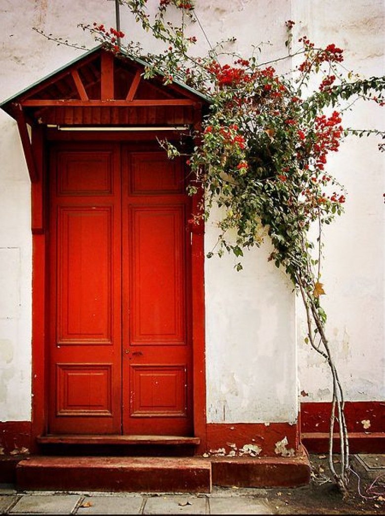 Старая дверь и цветы