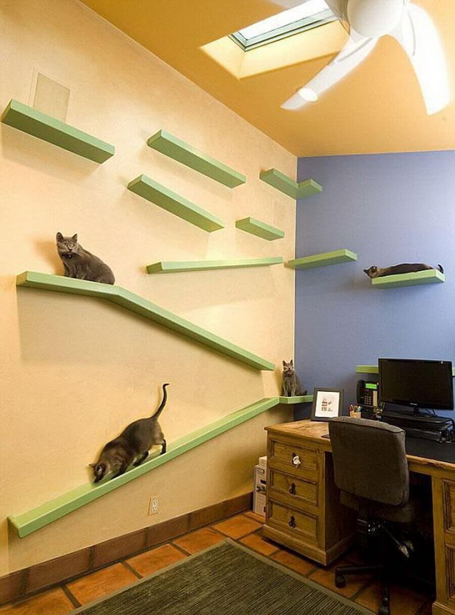 Комната для кошек