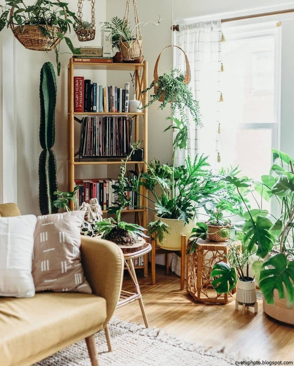 Растения в интерьере квартиры
