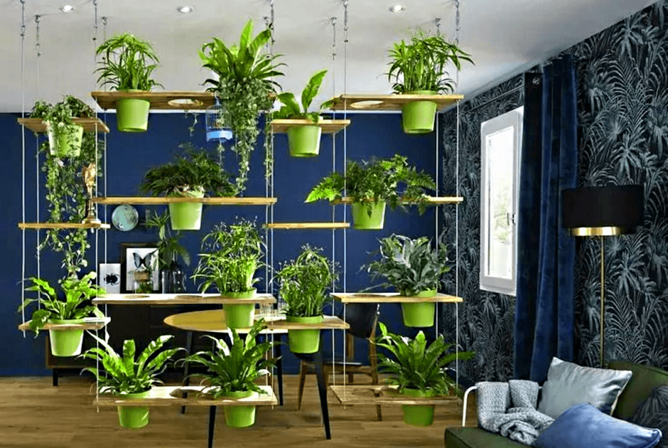 Магазин комнатных растений