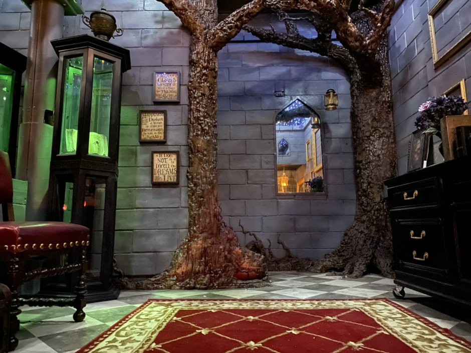 Комната в стиле Слизерин из Гарри Поттера