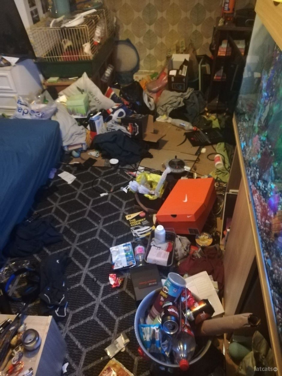 Самая грязная комната в мире