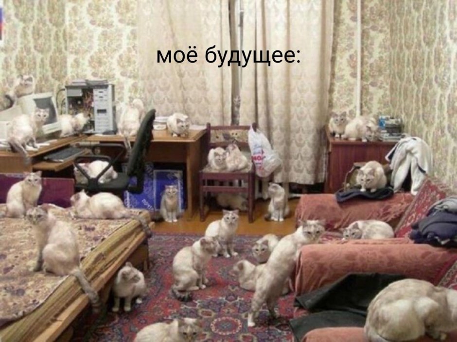 Комната удовольствий Мем