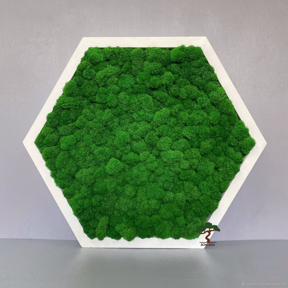 Детская инсталляция зеленый мир