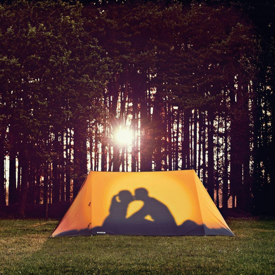 Ночь лес палатка спит