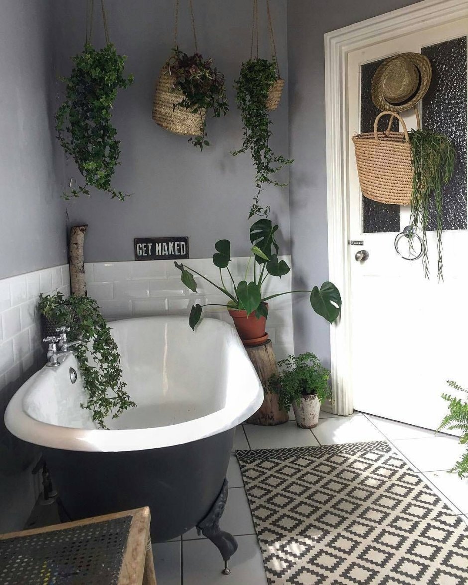 Уютная ванная с растениями