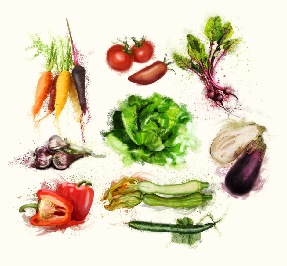 Постеры с фруктами и овощами