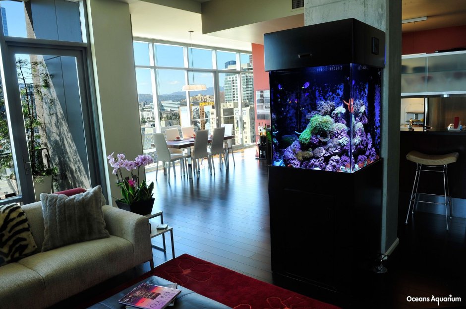 Интерьер зала с аквариумом