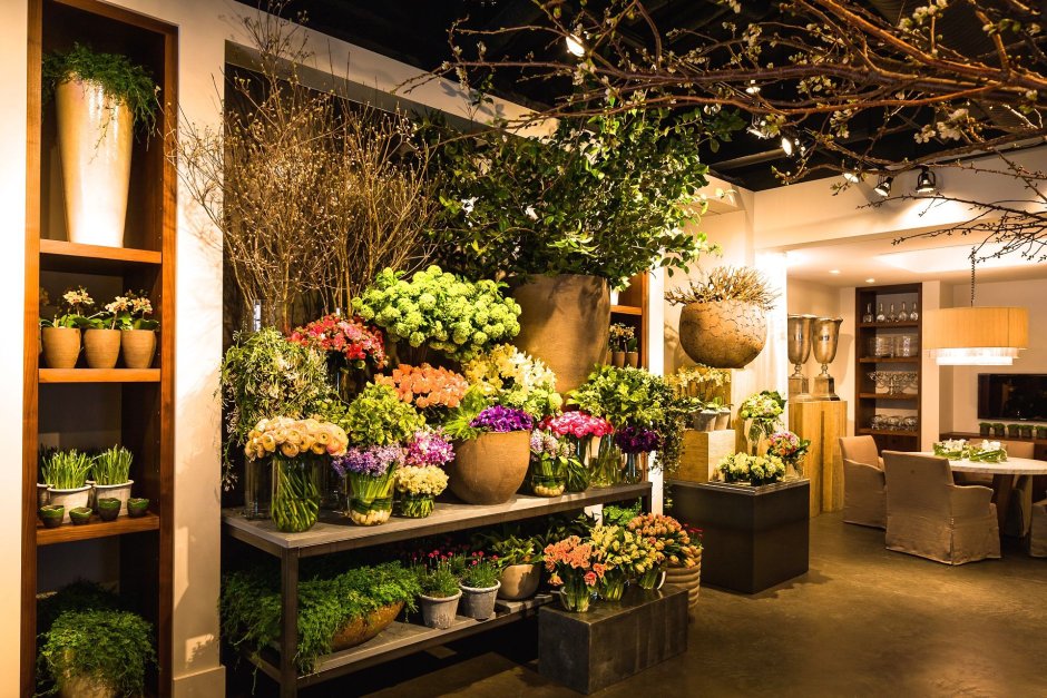 Современный цветочный магазин