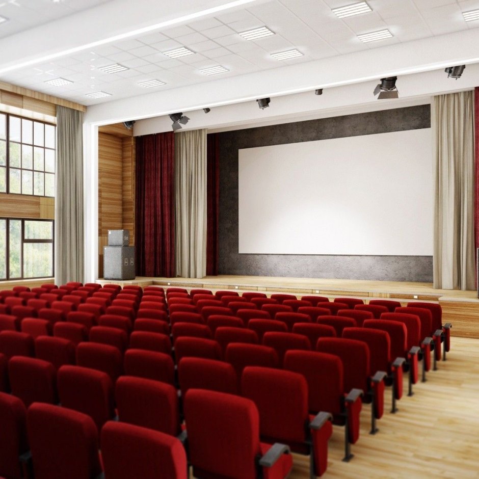 Шторы для актового зала