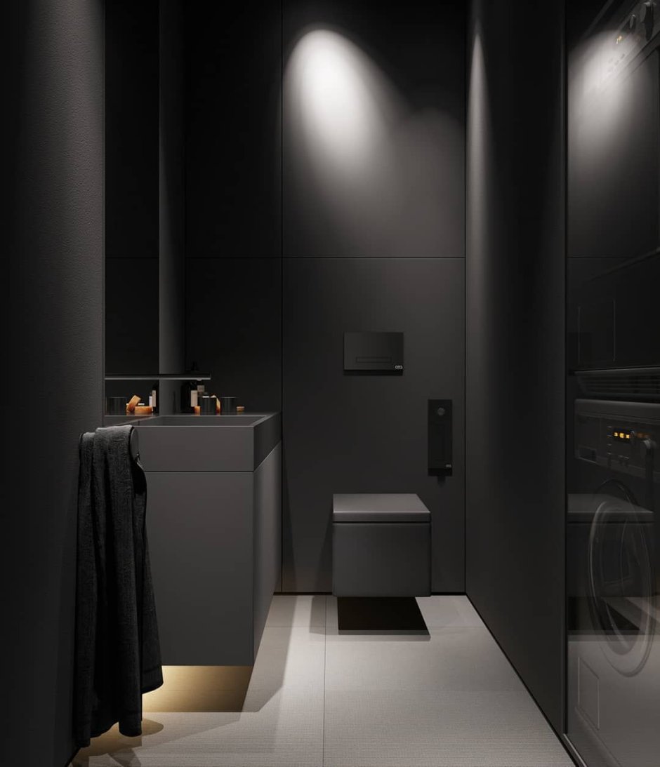 Дизайн туалета в черном цвете (66 фото)
