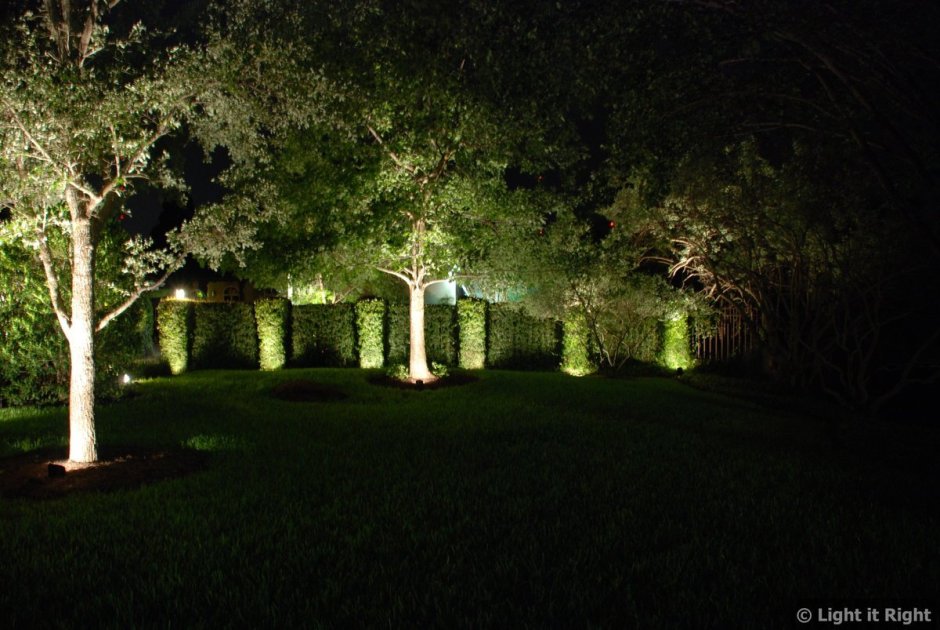 Подсветка деревьев в саду