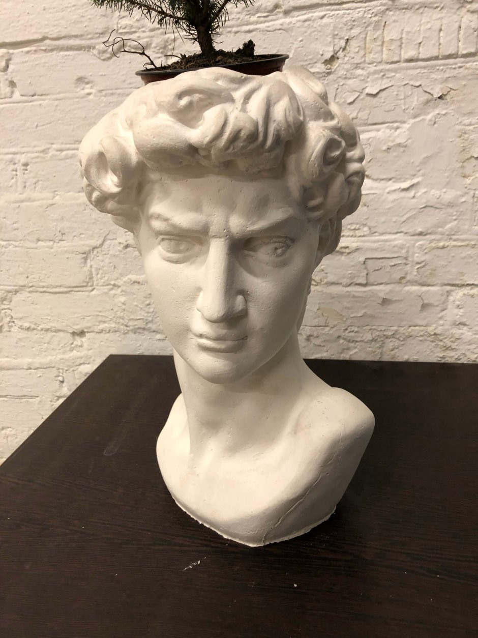 David Michelangelo 3d