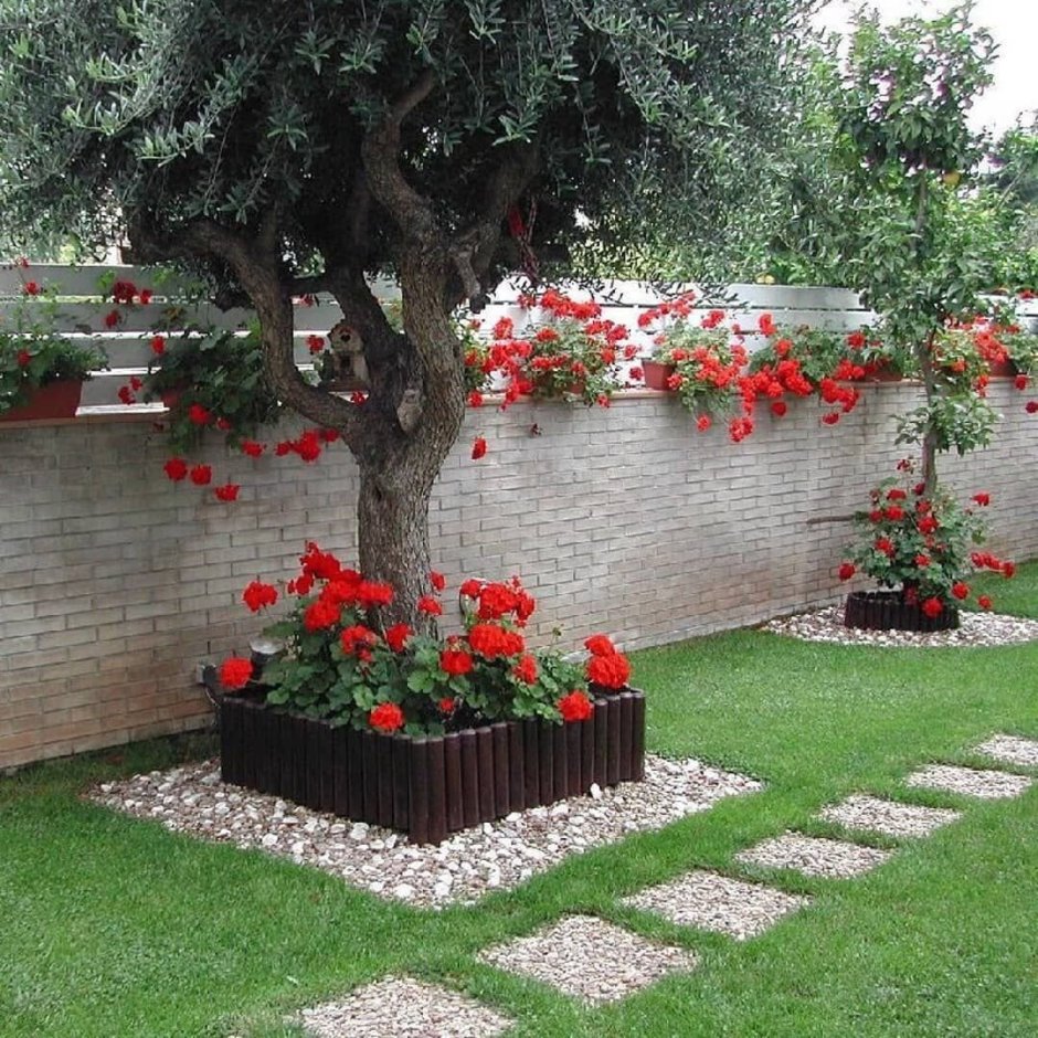 Клумба вокруг дерева