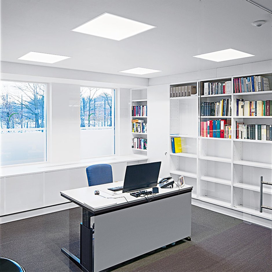 Led Office Guarana