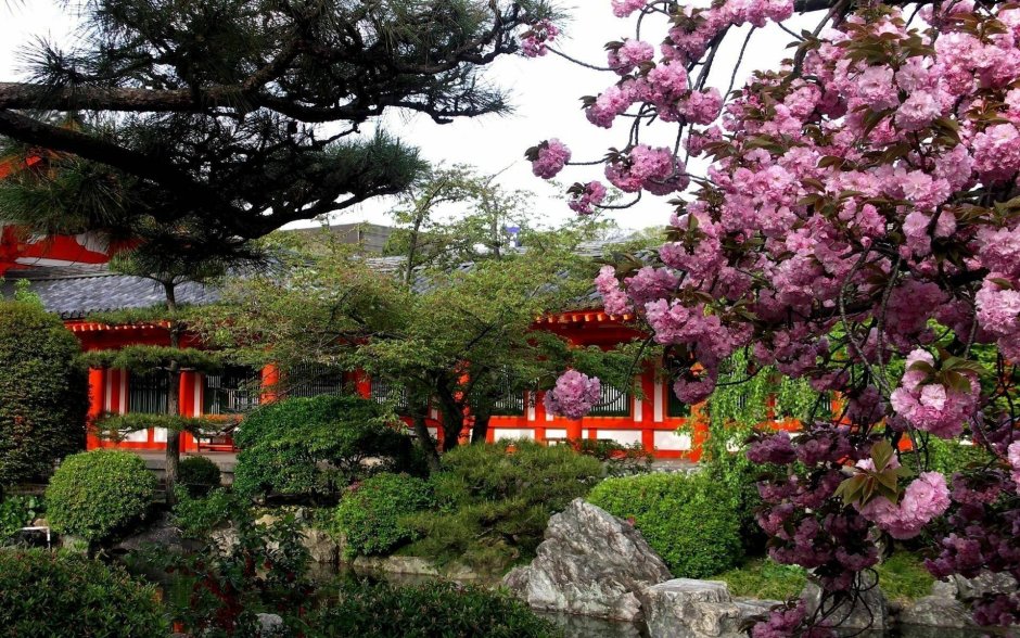 Sakura Garden aeroshoting