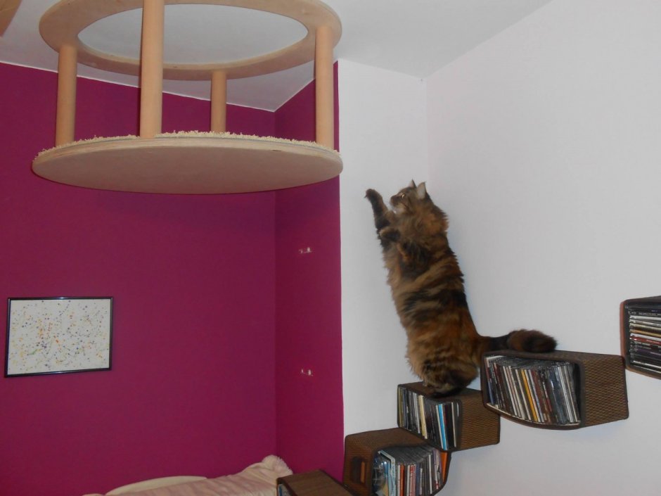 Настенный дом для кота