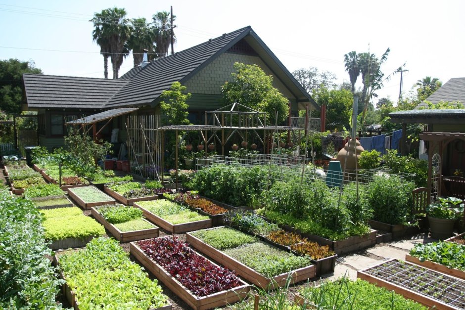 Как сделать огороде в магазинах с большой площадью