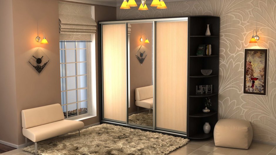 Шкаф купе из ЛДСП однотонный