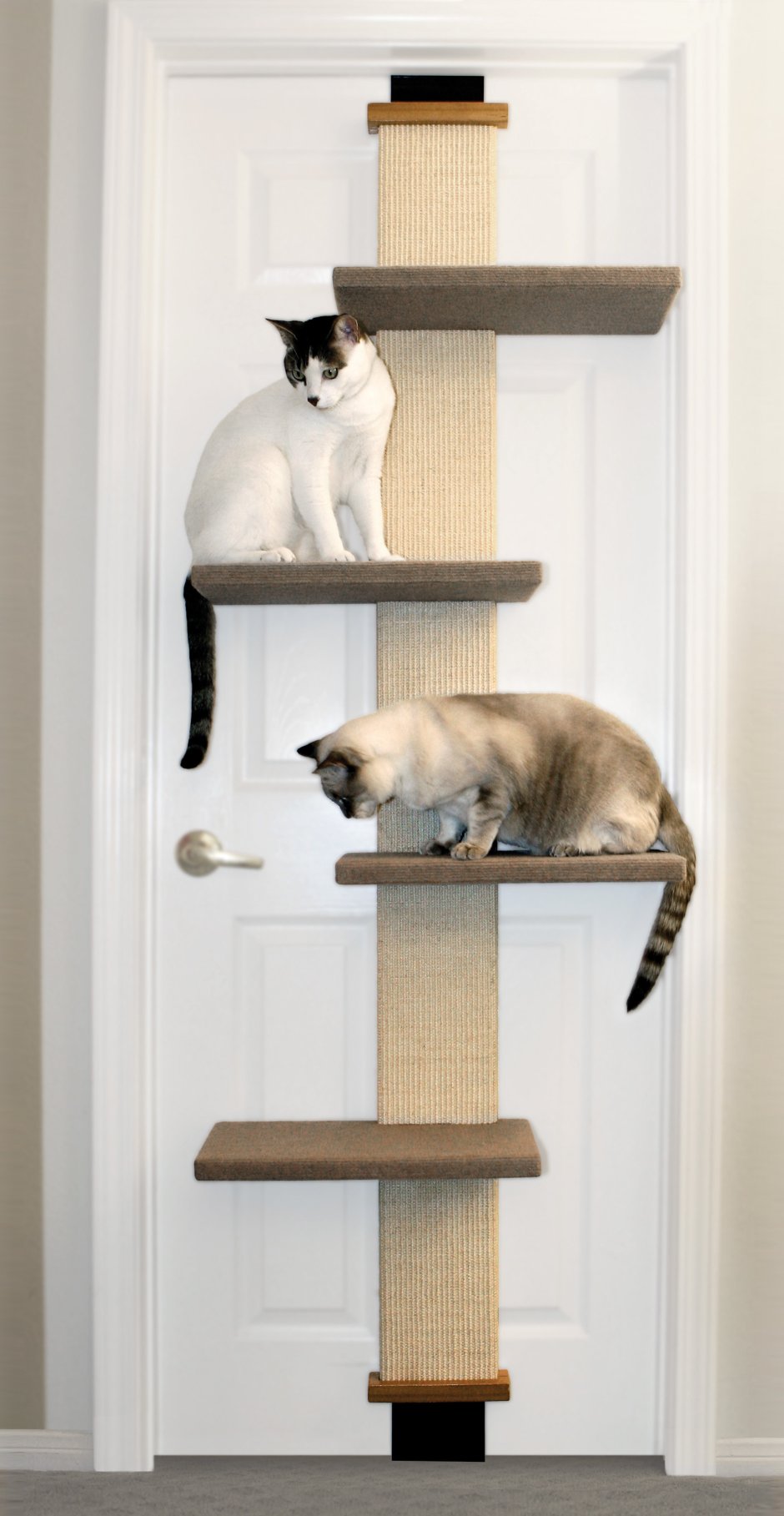 Лестница для кошки на шкаф