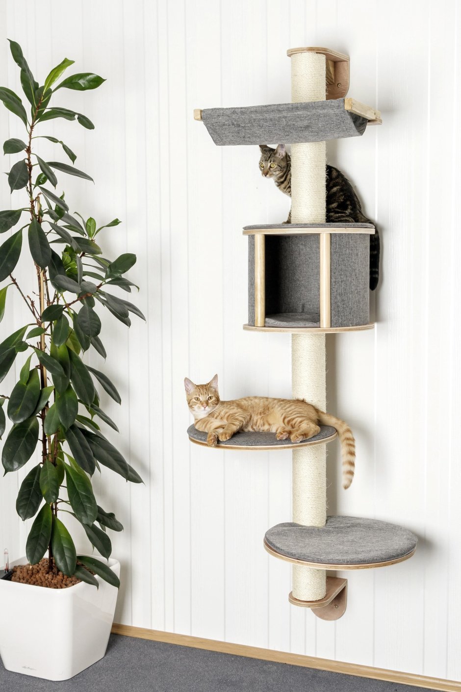 Настенный дом для кошки