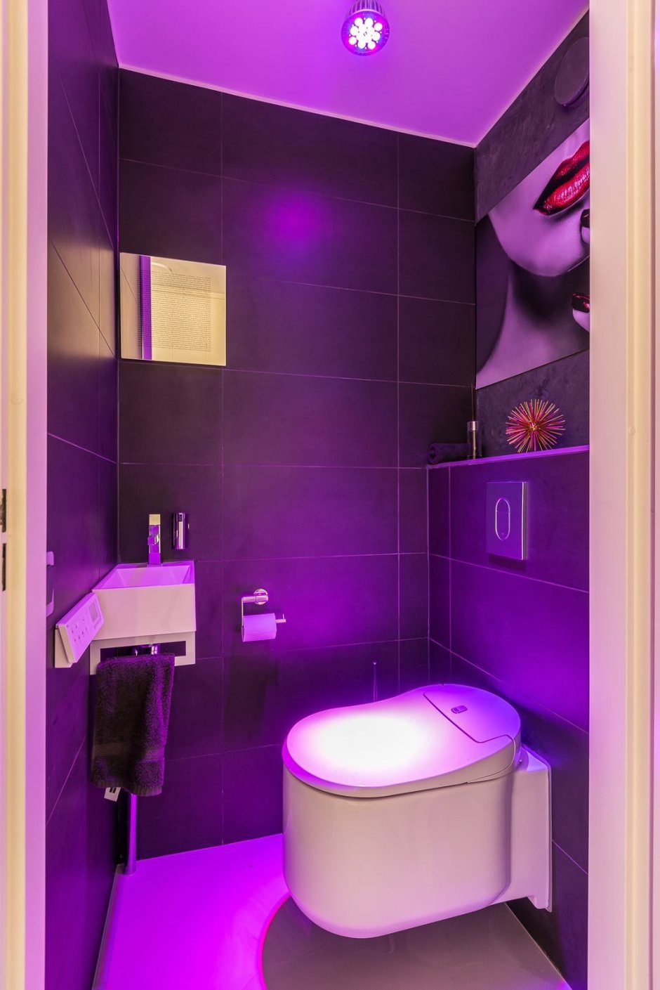 Фиолетовый туалет