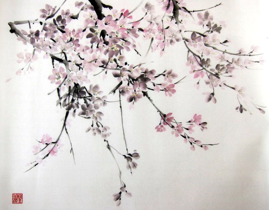 Суйбокуга Сакура