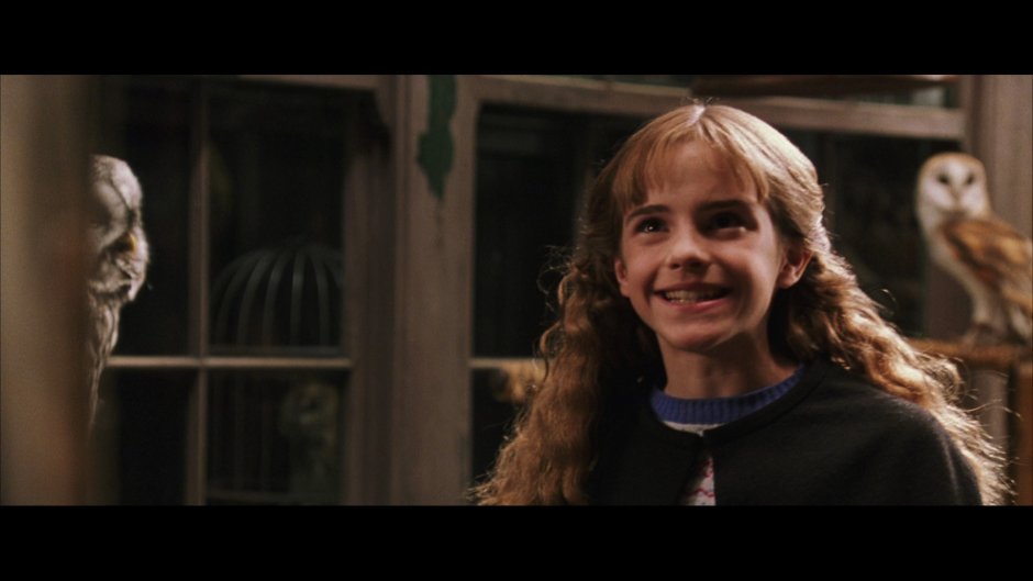 Hermione Granger standing
