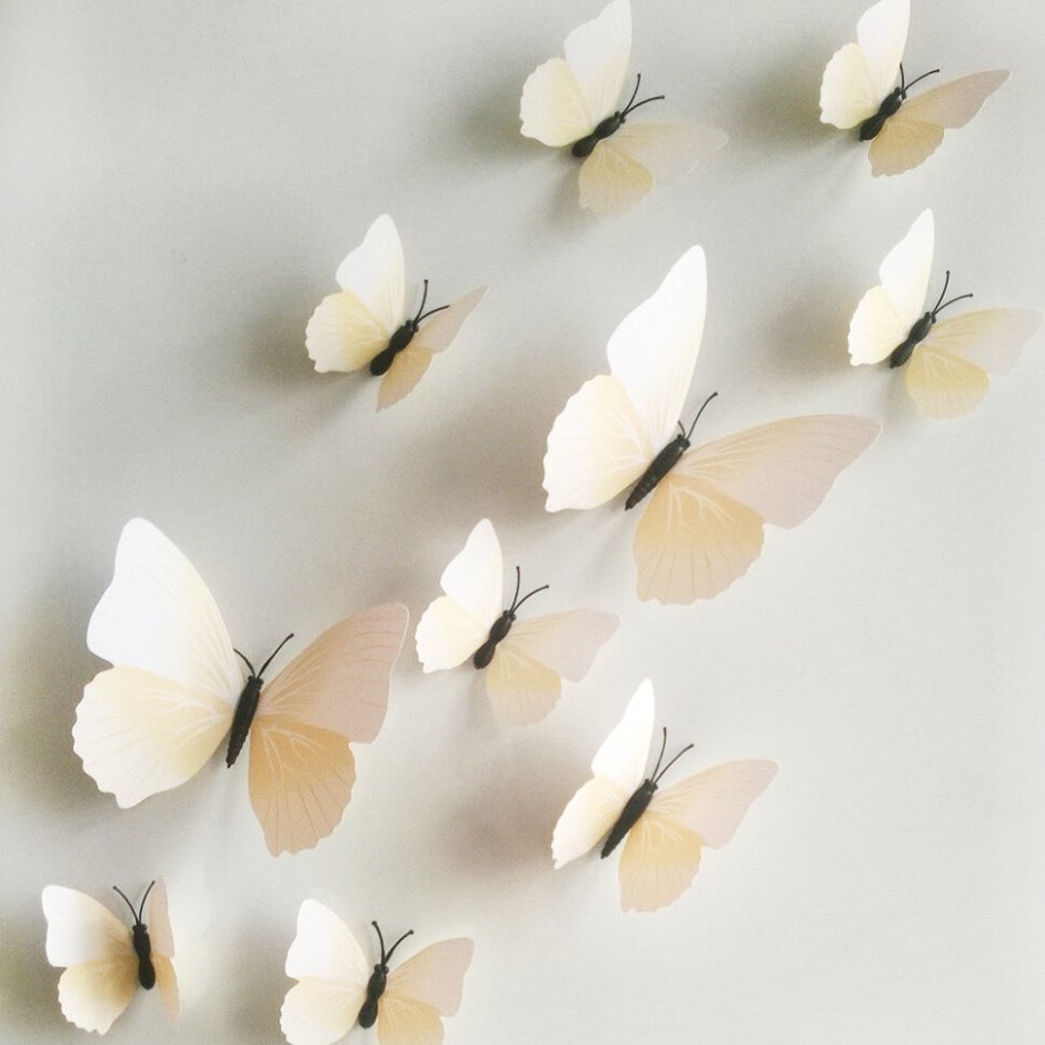 Полет бабочек на стене