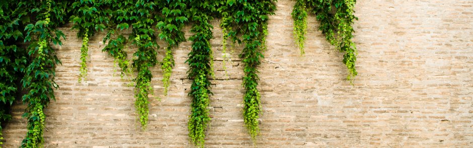 Кирпичная стена с зеленью