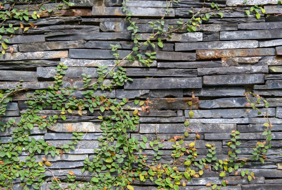 Каменная стена с цветами