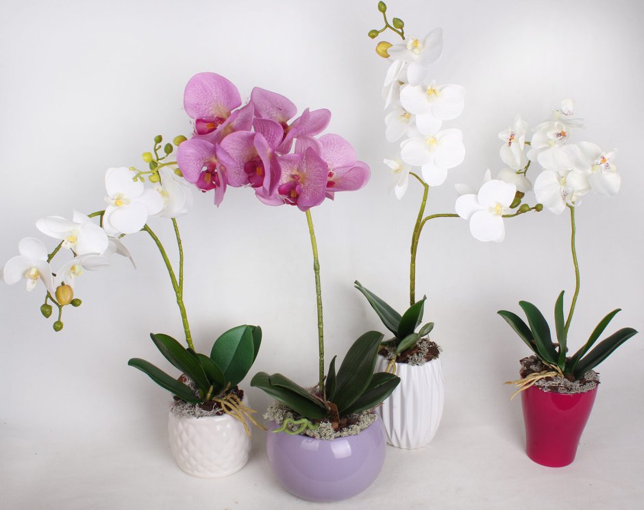 Красивые композиции из искусственных орхидей
