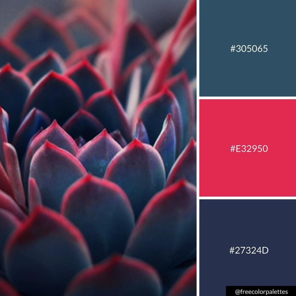Pantone Color trends 2021