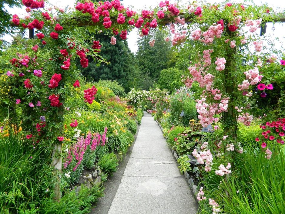 Butchart Gardens розарий сада Бутчартов сад роз