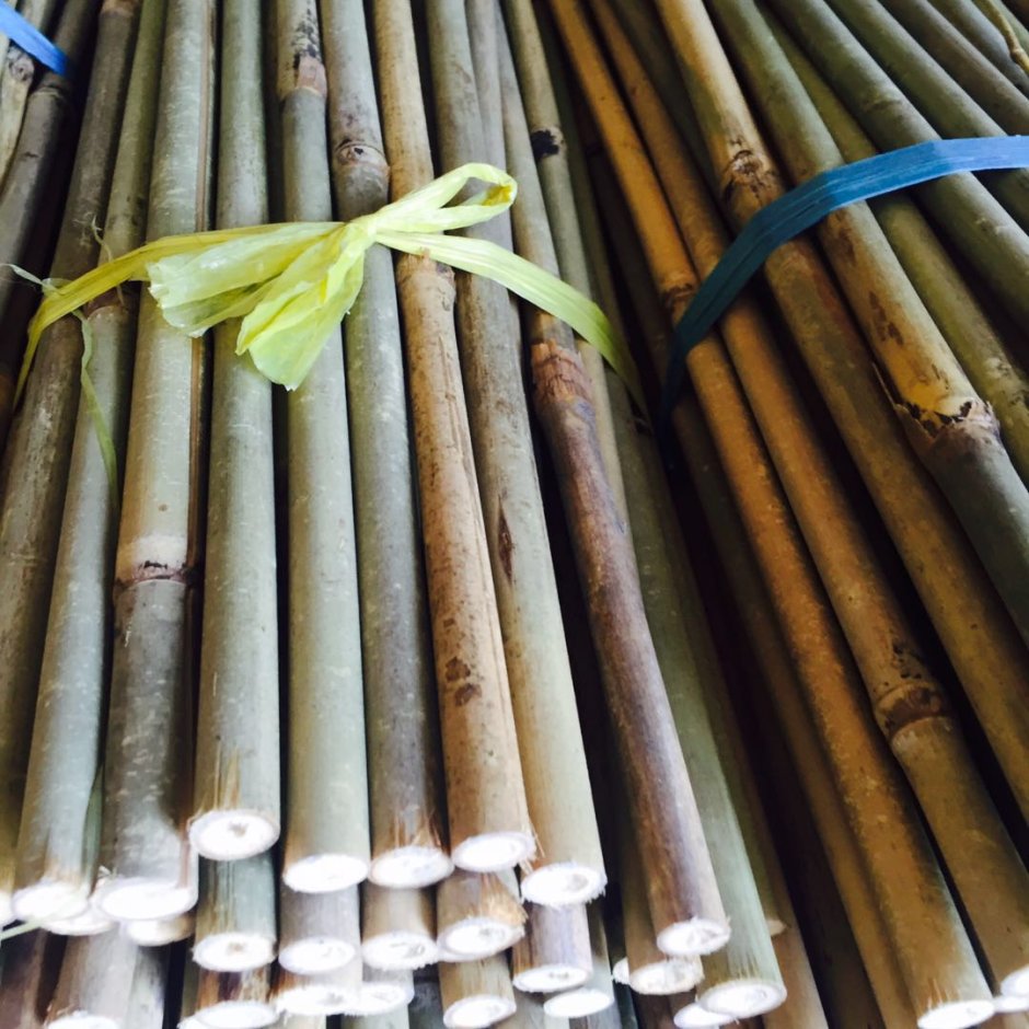 Бамбуковые палки для декора