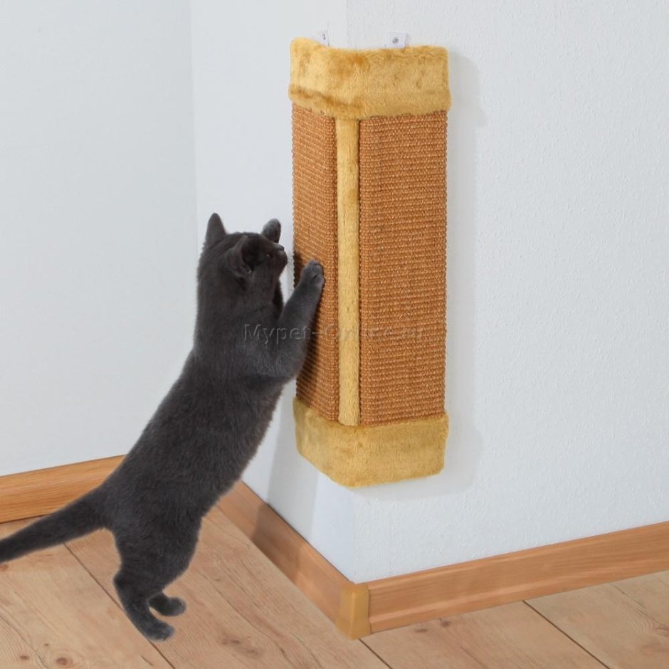 Антивандальные панели для стен от кошек