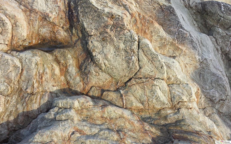 Скальные горные породы