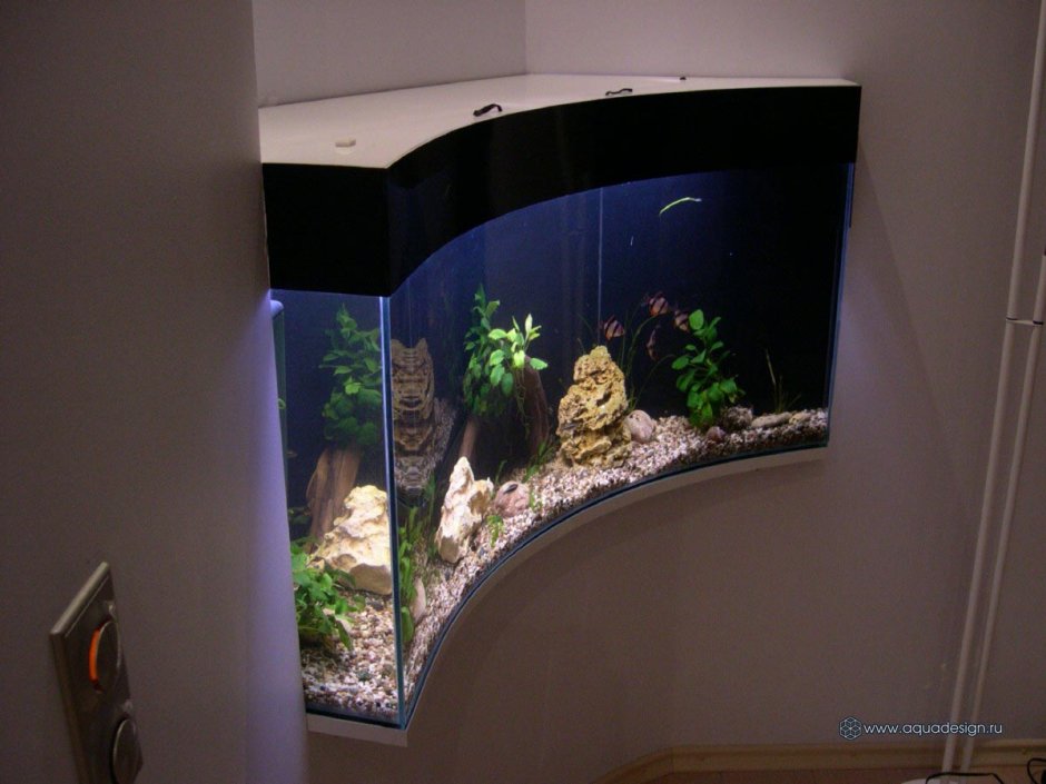 Красивый декор аквариума