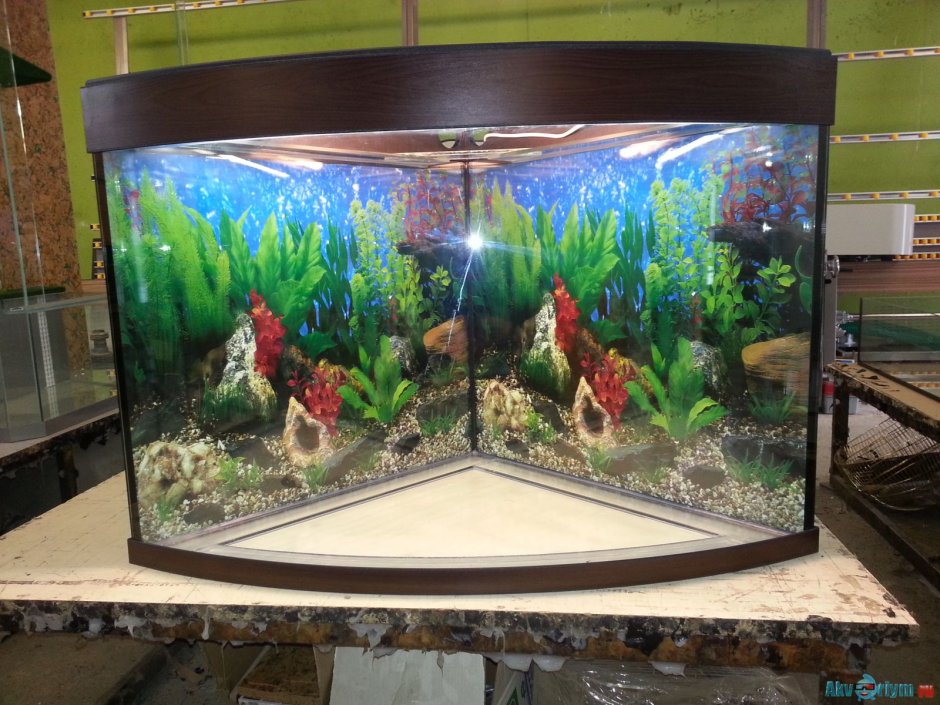 Угловой аквариум 240 литров 5 граней