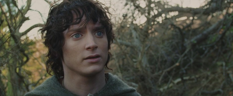 Властелин колец кадры из фильма Фродо