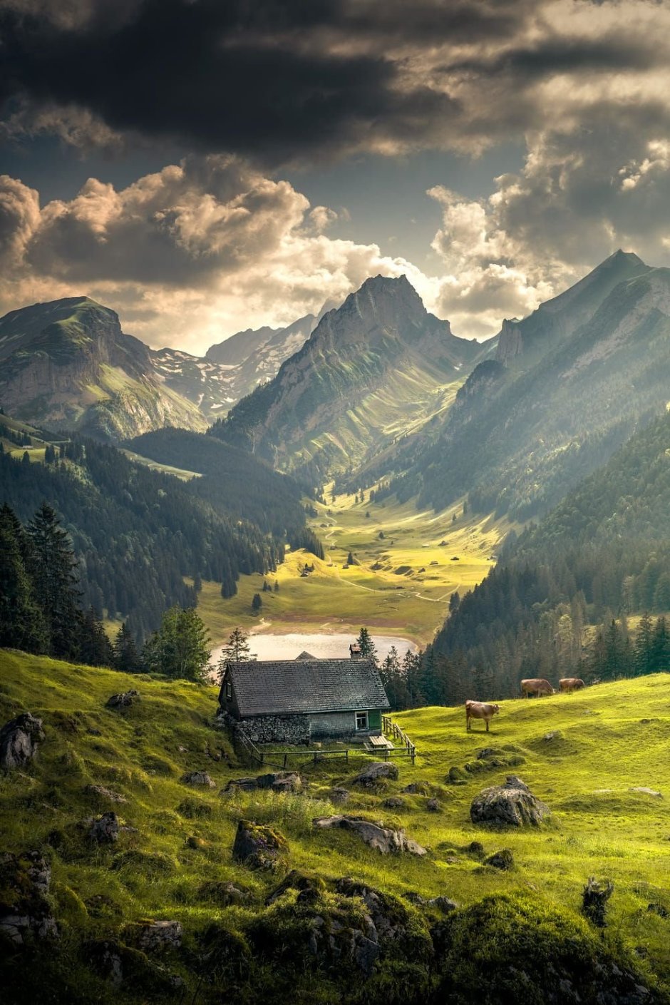 Одинокий домик в горах