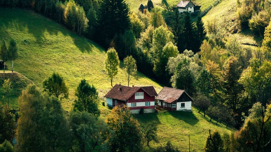 Дом в лесу Швейцария