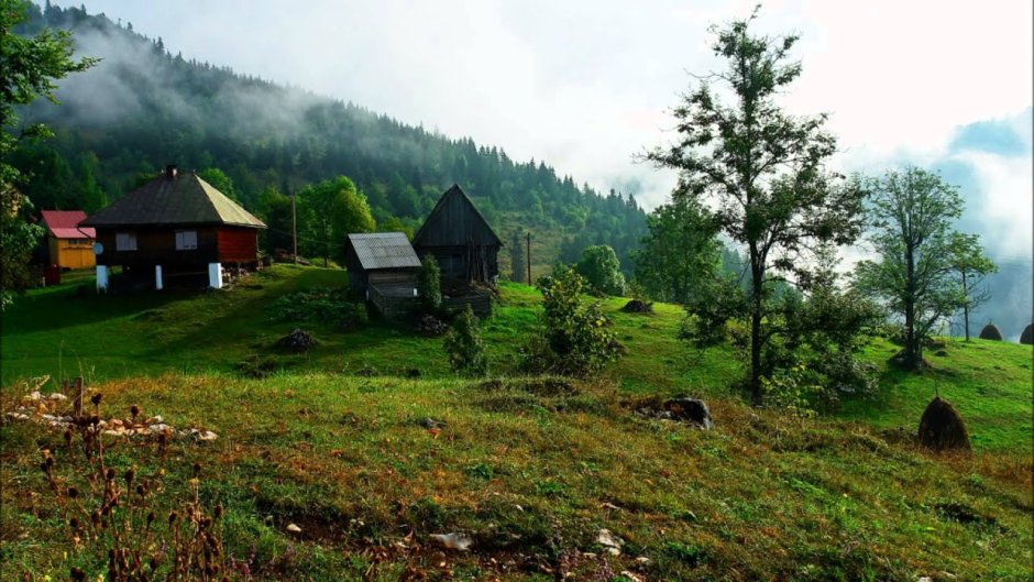 Карпаты деревни в горах