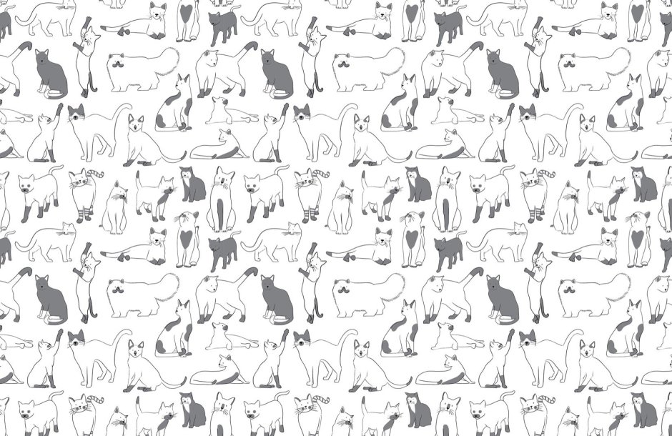 Grey Cat pattern