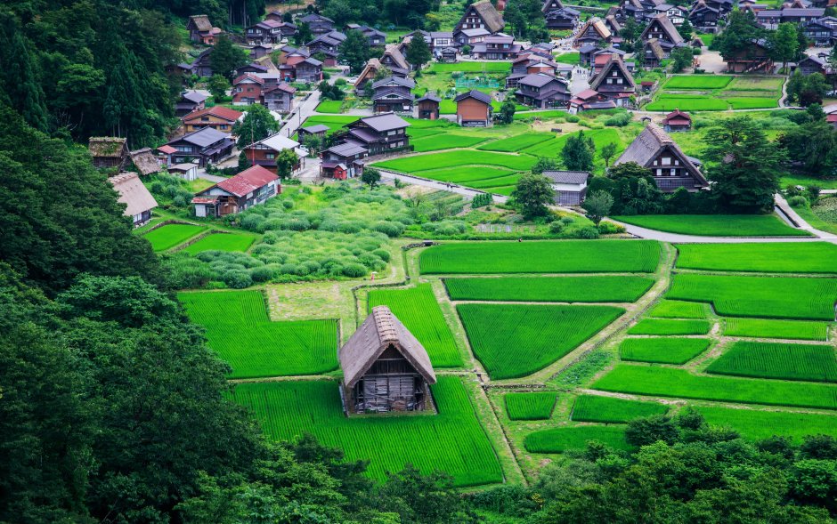 Деревня Ниидзима Япония