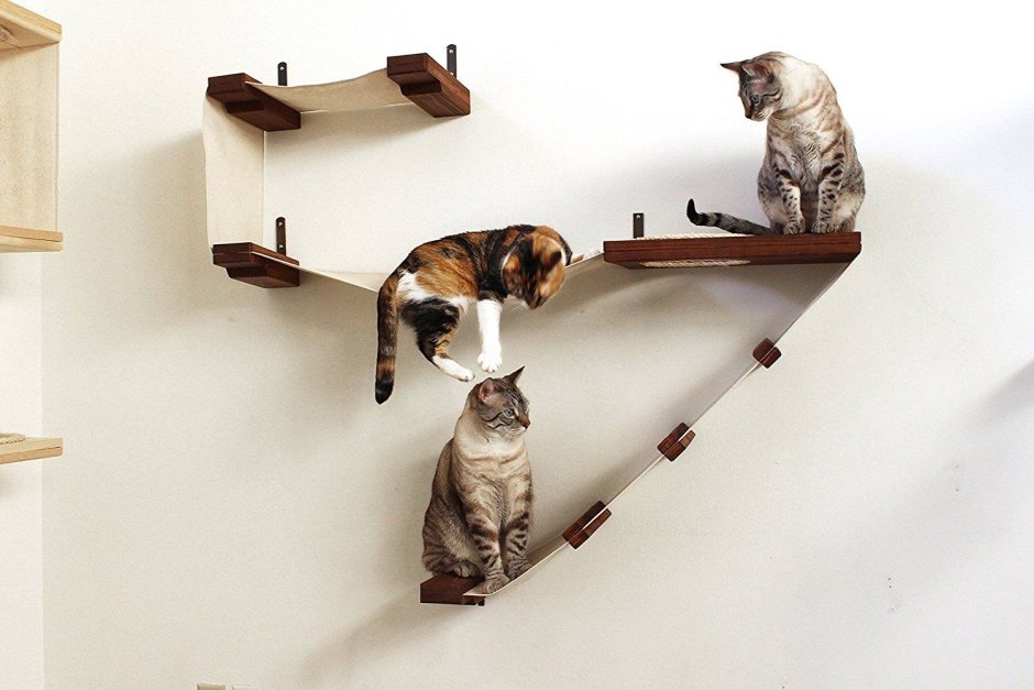 Полки для кошек на стену (61 фото)