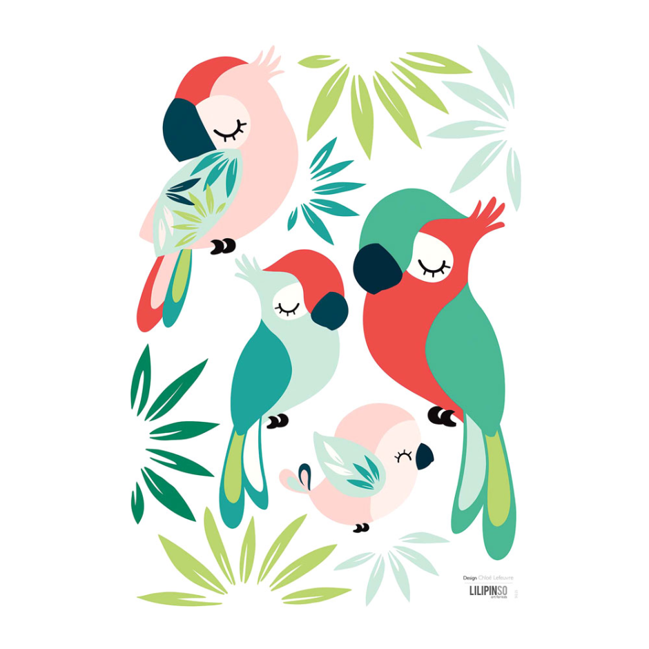Постер. Красочные птицы