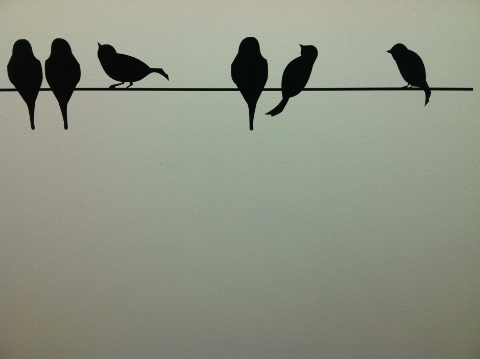 Силуэты птиц на стене