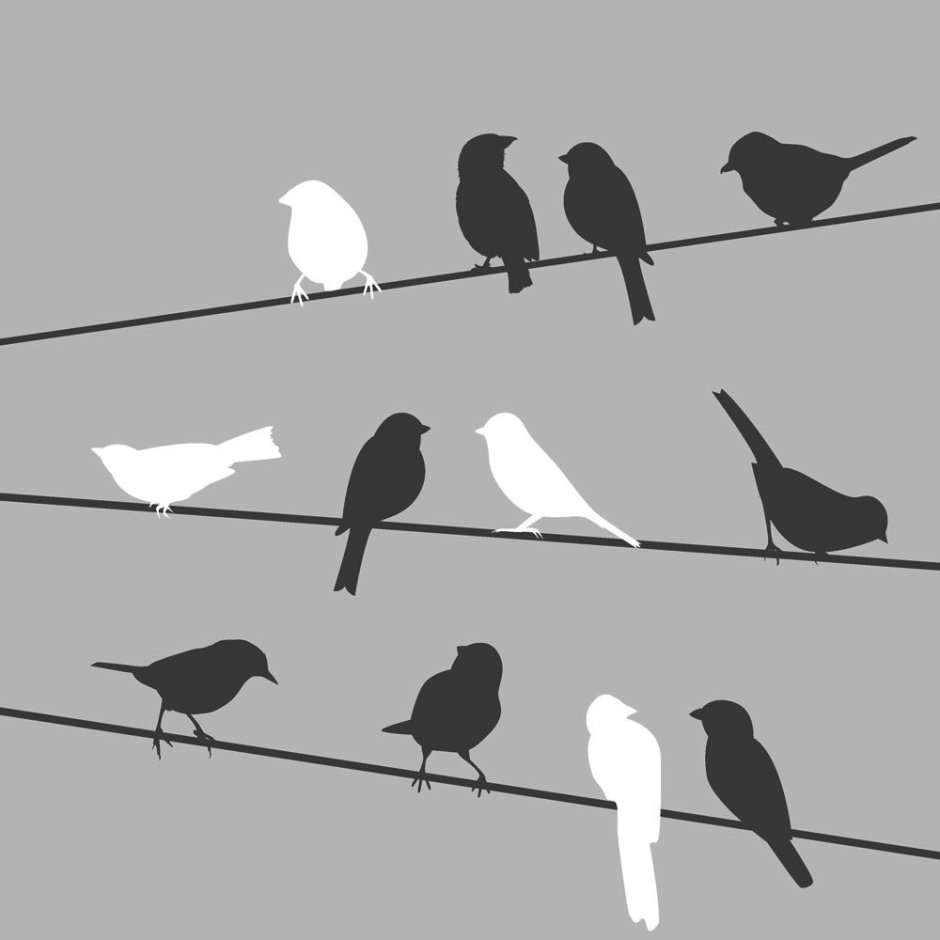 Птицы на проводах трафарет